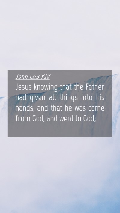 Picture 04 - John 13:3 KJV Mobile Phone Wallpaper - Jesus knowing that the Father had given all - Mobile Bible Verse Wallpaper