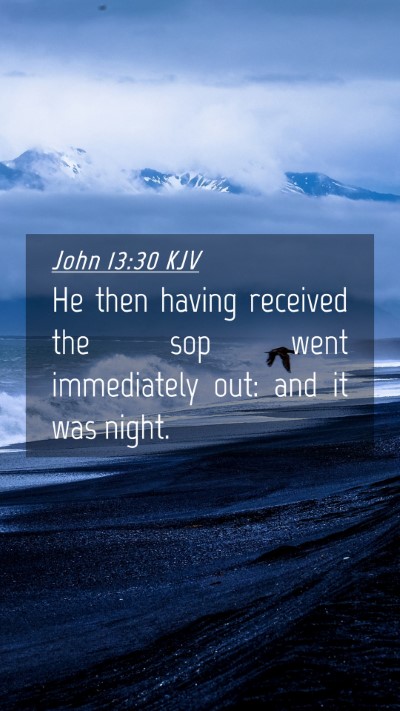 Picture 04 - John 13:30 KJV Mobile Phone Wallpaper - He then having received the sop went immediately - Mobile Bible Verse Wallpaper