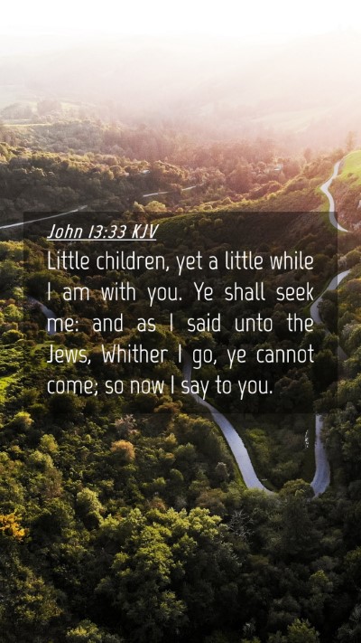 Picture 04 - John 13:33 KJV Mobile Phone Wallpaper - Little children, yet a little while I am with - Mobile Bible Verse Wallpaper