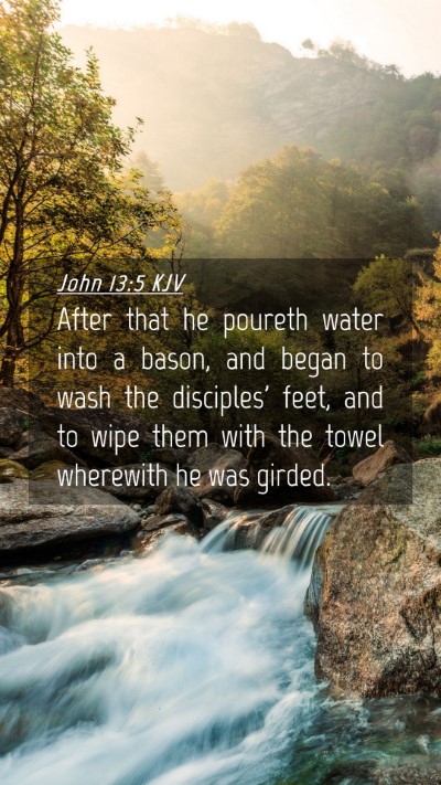 Picture 04 - John 13:5 KJV Mobile Phone Wallpaper - After that he poureth water into a bason, and - Mobile Bible Verse Wallpaper