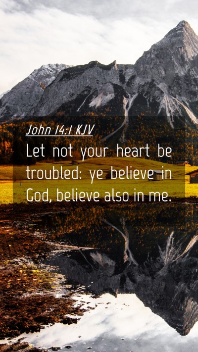 Picture 04 - John 14:1 KJV Mobile Phone Wallpaper - Let not your heart be troubled: ye believe in - Mobile Bible Verse Wallpaper
