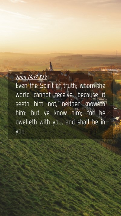 Picture 04 - John 14:17 KJV Mobile Phone Wallpaper - Even the Spirit of truth; whom the world cannot - Mobile Bible Verse Wallpaper