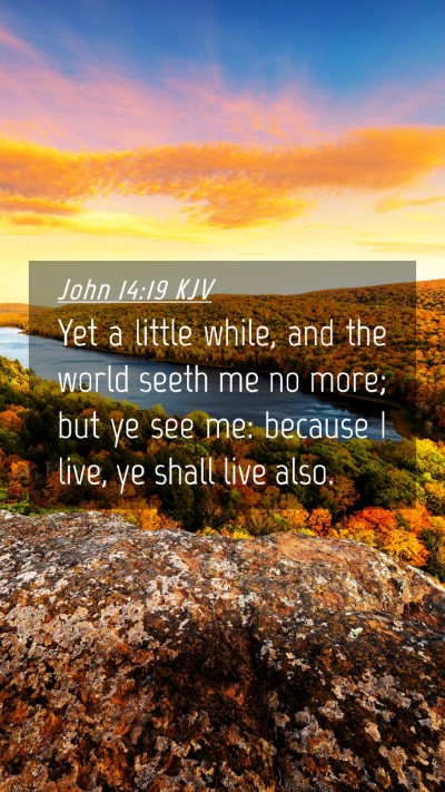 Picture 04 - John 14:19 KJV Mobile Phone Wallpaper - Yet a little while, and the world seeth me no - Mobile Bible Verse Wallpaper