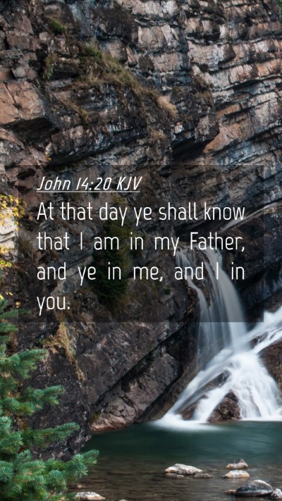 Picture 04 - John 14:20 KJV Mobile Phone Wallpaper - At that day ye shall know that I am in my Father, - Mobile Bible Verse Wallpaper