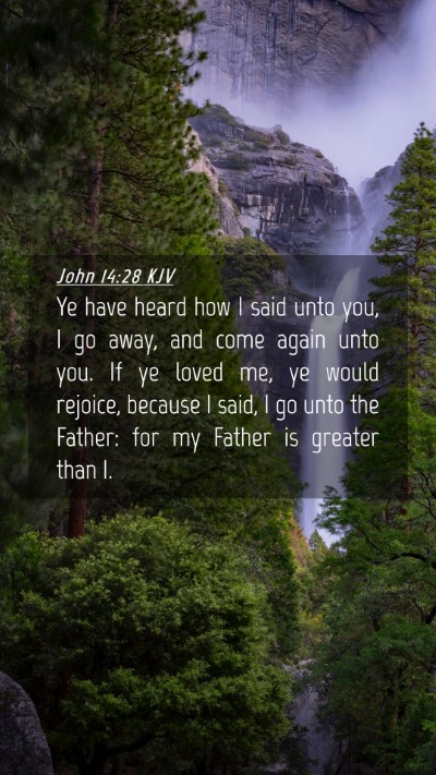 Picture 04 - John 14:28 KJV Mobile Phone Wallpaper - Ye have heard how I said unto you, I go away, and - Mobile Bible Verse Wallpaper