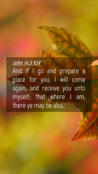 Picture 04 - John 14:3 KJV Mobile Phone Wallpaper - And if I go and prepare a place for you, I will - Mobile Bible Verse Wallpaper