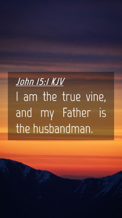Picture 04 - John 15:1 KJV Mobile Phone Wallpaper - I am the true vine, and my Father is the - Mobile Bible Verse Wallpaper