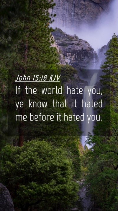 Picture 04 - John 15:18 KJV Mobile Phone Wallpaper - If the world hate you, ye know that it hated me - Mobile Bible Verse Wallpaper