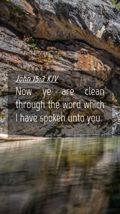 Picture 04 - John 15:3 KJV Mobile Phone Wallpaper - Now ye are clean through the word which I have - Mobile Bible Verse Wallpaper