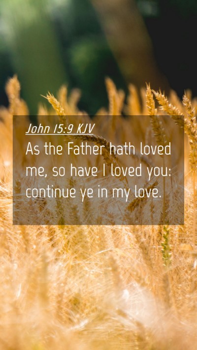 Picture 04 - John 15:9 KJV Mobile Phone Wallpaper - As the Father hath loved me, so have I loved you: - Mobile Bible Verse Wallpaper