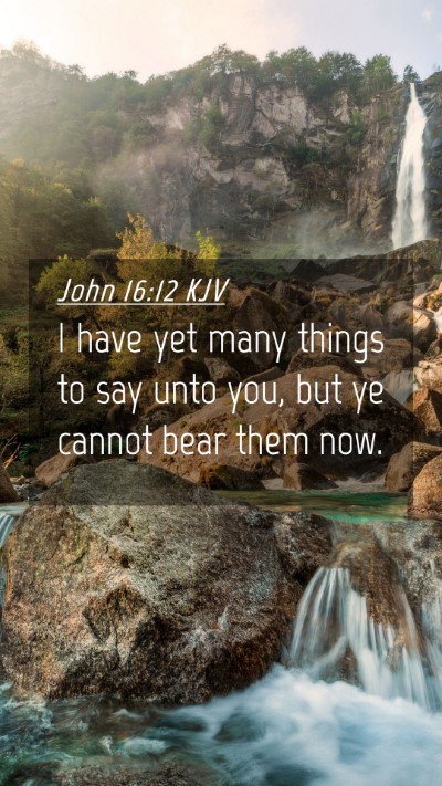 Picture 04 - John 16:12 KJV Mobile Phone Wallpaper - I have yet many things to say unto you, but ye - Mobile Bible Verse Wallpaper