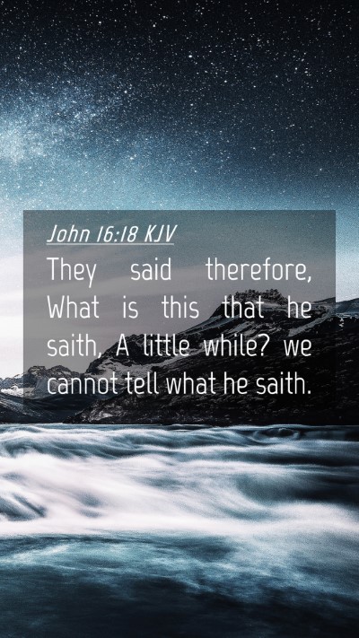 Picture 04 - John 16:18 KJV Mobile Phone Wallpaper - They said therefore, What is this that he saith, - Mobile Bible Verse Wallpaper
