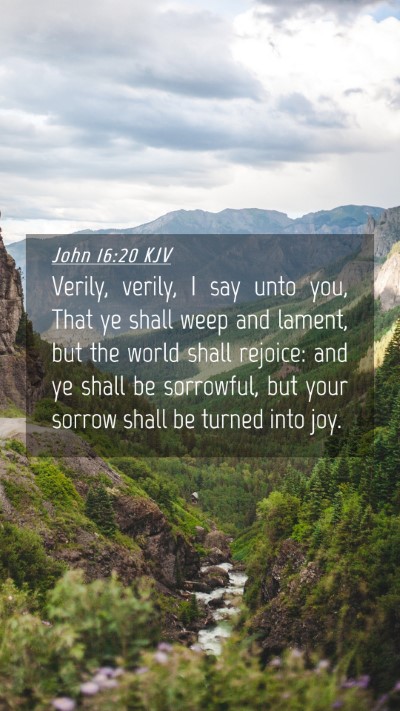 Picture 04 - John 16:20 KJV Mobile Phone Wallpaper - Verily, verily, I say unto you, That ye shall - Mobile Bible Verse Wallpaper