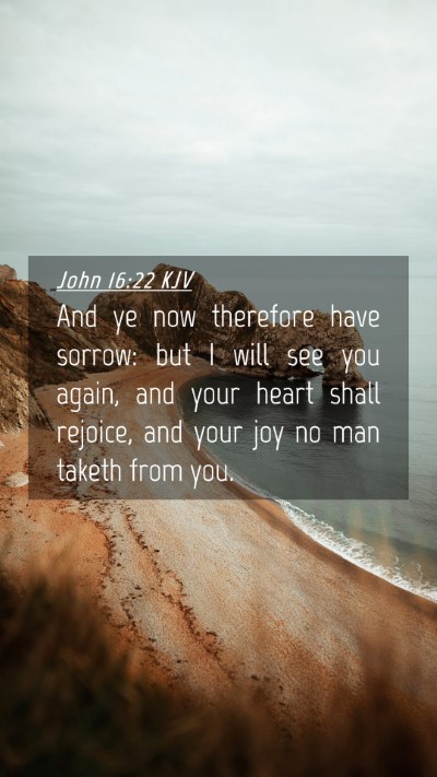 Picture 04 - John 16:22 KJV Mobile Phone Wallpaper - And ye now therefore have sorrow: but I will see - Mobile Bible Verse Wallpaper
