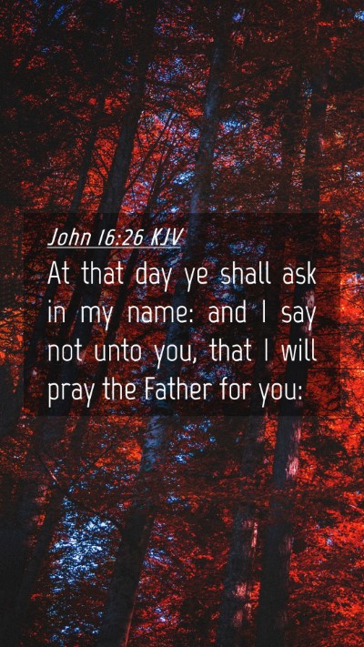 Picture 04 - John 16:26 KJV Mobile Phone Wallpaper - At that day ye shall ask in my name: and I say - Mobile Bible Verse Wallpaper