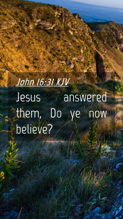 Picture 04 - John 16:31 KJV Mobile Phone Wallpaper - Jesus answered them, Do ye now - Mobile Bible Verse Wallpaper