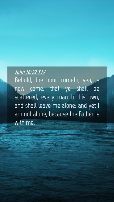 Picture 04 - John 16:32 KJV Mobile Phone Wallpaper - Behold, the hour cometh, yea, is now come, that - Mobile Bible Verse Wallpaper
