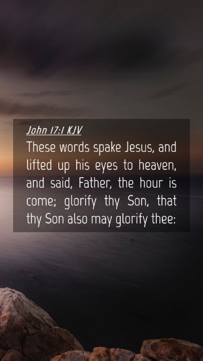 Picture 04 - John 17:1 KJV Mobile Phone Wallpaper - These words spake Jesus, and lifted up his eyes - Mobile Bible Verse Wallpaper