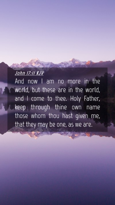 Picture 04 - John 17:11 KJV Mobile Phone Wallpaper - And now I am no more in the world, but these are - Mobile Bible Verse Wallpaper