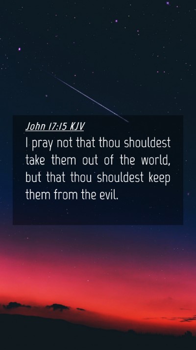 Picture 04 - John 17:15 KJV Mobile Phone Wallpaper - I pray not that thou shouldest take them out of - Mobile Bible Verse Wallpaper