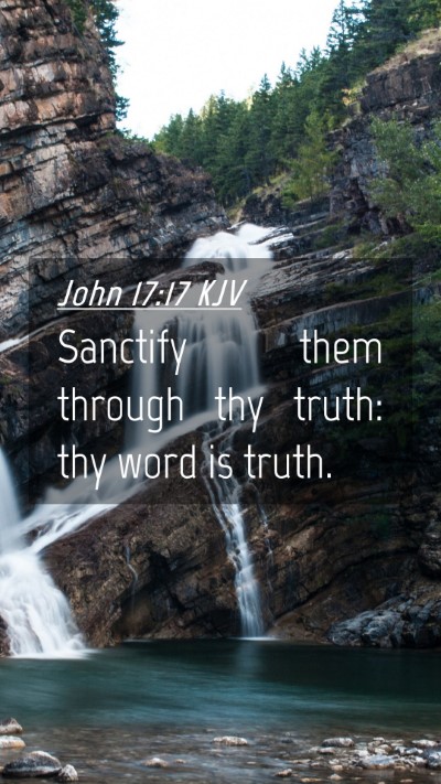 Picture 04 - John 17:17 KJV Mobile Phone Wallpaper - Sanctify them through thy truth: thy word is - Mobile Bible Verse Wallpaper