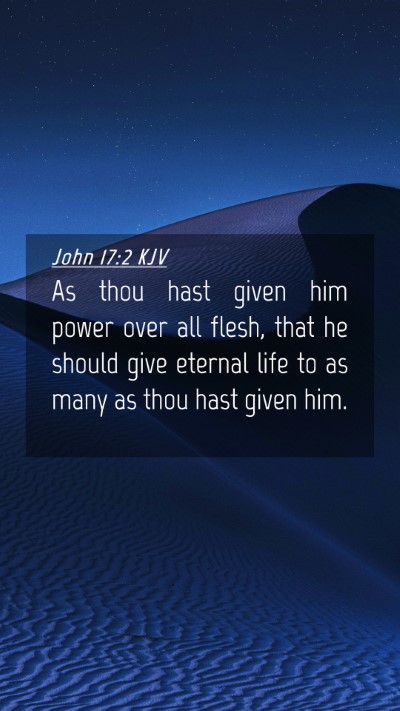 Picture 04 - John 17:2 KJV Mobile Phone Wallpaper - As thou hast given him power over all flesh, that - Mobile Bible Verse Wallpaper
