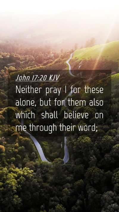 Picture 04 - John 17:20 KJV Mobile Phone Wallpaper - Neither pray I for these alone, but for them also - Mobile Bible Verse Wallpaper