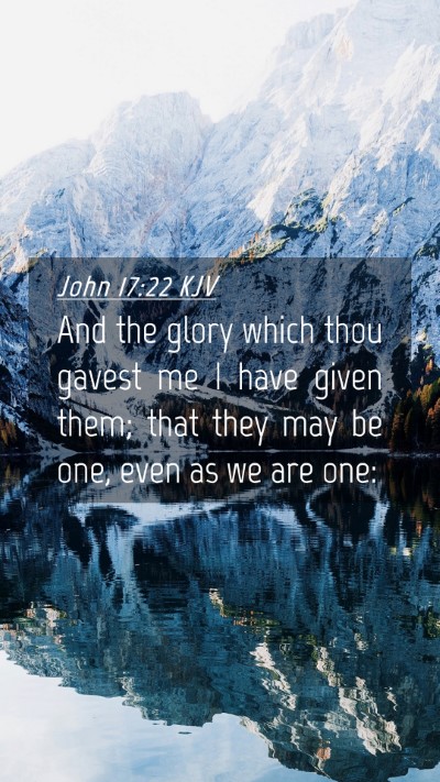 Picture 04 - John 17:22 KJV Mobile Phone Wallpaper - And the glory which thou gavest me I have given - Mobile Bible Verse Wallpaper