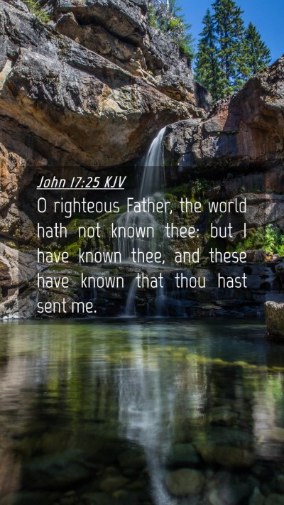 Picture 04 - John 17:25 KJV Mobile Phone Wallpaper - O righteous Father, the world hath not known - Mobile Bible Verse Wallpaper