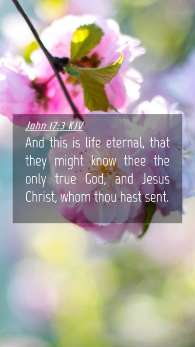 Picture 04 - John 17:3 KJV Mobile Phone Wallpaper - And this is life eternal, that they might know - Mobile Bible Verse Wallpaper