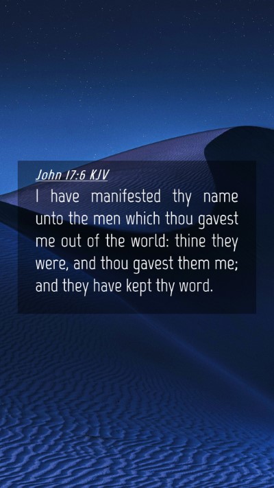 Picture 04 - John 17:6 KJV Mobile Phone Wallpaper - I have manifested thy name unto the men which - Mobile Bible Verse Wallpaper