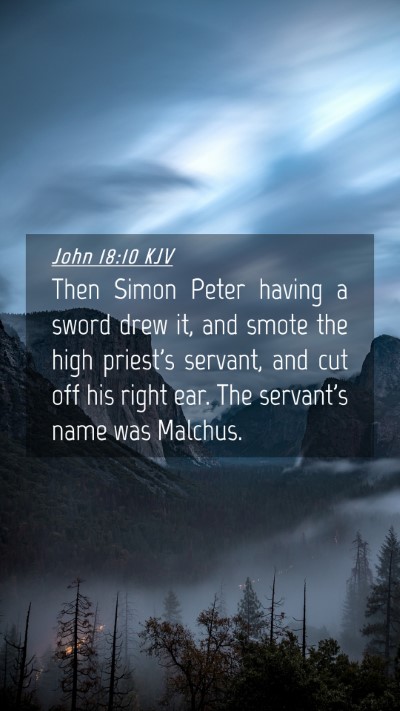 Picture 04 - John 18:10 KJV Mobile Phone Wallpaper - Then Simon Peter having a sword drew it, and - Mobile Bible Verse Wallpaper