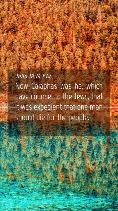 Picture 04 - John 18:14 KJV Mobile Phone Wallpaper - Now Caiaphas was he, which gave counsel to the - Mobile Bible Verse Wallpaper