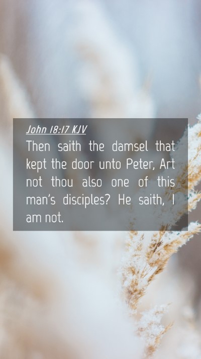 Picture 04 - John 18:17 KJV Mobile Phone Wallpaper - Then saith the damsel that kept the door unto - Mobile Bible Verse Wallpaper