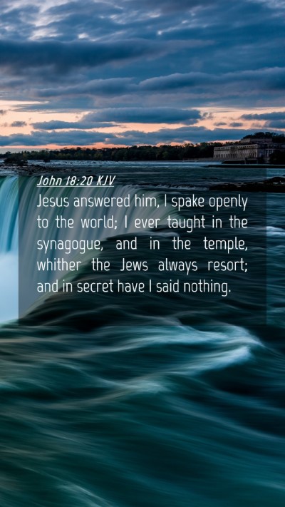 Picture 04 - John 18:20 KJV Mobile Phone Wallpaper - Jesus answered him, I spake openly to the world; - Mobile Bible Verse Wallpaper