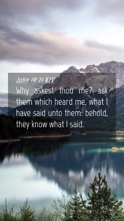 Picture 04 - John 18:21 KJV Mobile Phone Wallpaper - Why askest thou me? ask them which heard me, what - Mobile Bible Verse Wallpaper
