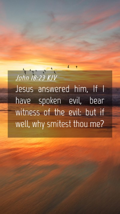 Picture 04 - John 18:23 KJV Mobile Phone Wallpaper - Jesus answered him, If I have spoken evil, bear - Mobile Bible Verse Wallpaper