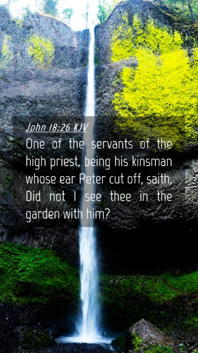 Picture 04 - John 18:26 KJV Mobile Phone Wallpaper - One of the servants of the high priest, being his - Mobile Bible Verse Wallpaper