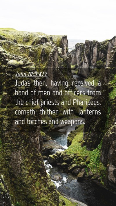 Picture 04 - John 18:3 KJV Mobile Phone Wallpaper - Judas then, having received a band of men and - Mobile Bible Verse Wallpaper