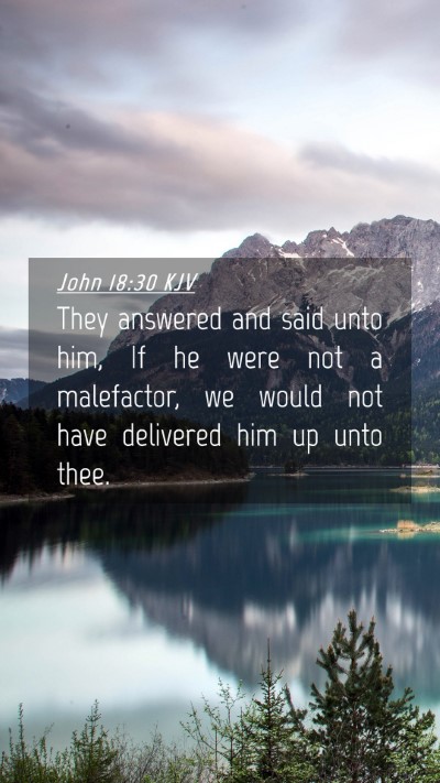 Picture 04 - John 18:30 KJV Mobile Phone Wallpaper - They answered and said unto him, If he were not a - Mobile Bible Verse Wallpaper