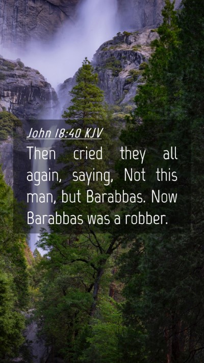 Picture 04 - John 18:40 KJV Mobile Phone Wallpaper - Then cried they all again, saying, Not this man, - Mobile Bible Verse Wallpaper