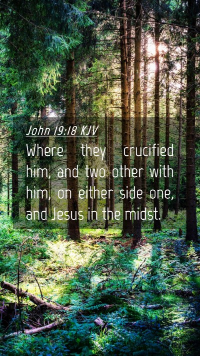 Picture 04 - John 19:18 KJV Mobile Phone Wallpaper - Where they crucified him, and two other with him, - Mobile Bible Verse Wallpaper