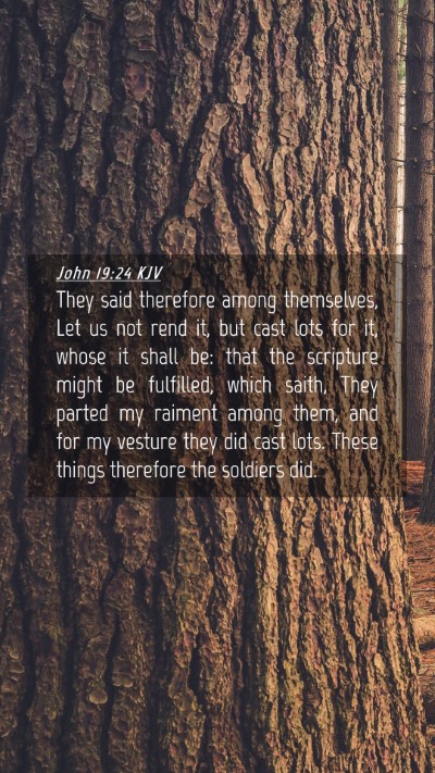 Picture 04 - John 19:24 KJV Mobile Phone Wallpaper - They said therefore among themselves, Let us not - Mobile Bible Verse Wallpaper