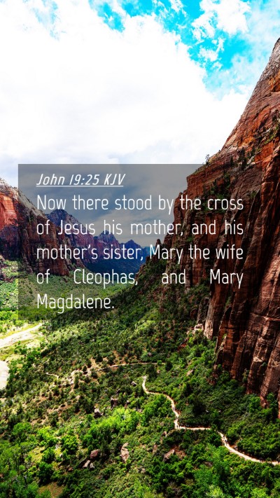 Picture 04 - John 19:25 KJV Mobile Phone Wallpaper - Now there stood by the cross of Jesus his mother, - Mobile Bible Verse Wallpaper