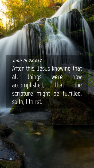 Picture 04 - John 19:28 KJV Mobile Phone Wallpaper - After this, Jesus knowing that all things were - Mobile Bible Verse Wallpaper