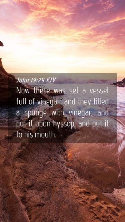 Picture 04 - John 19:29 KJV Mobile Phone Wallpaper - Now there was set a vessel full of vinegar: and - Mobile Bible Verse Wallpaper