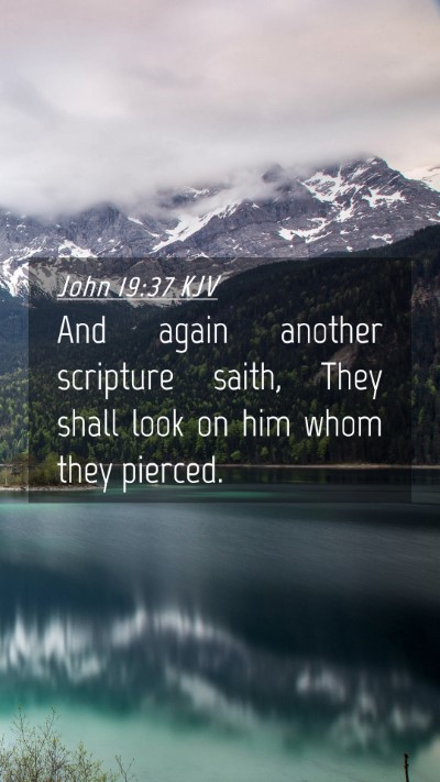 Picture 04 - John 19:37 KJV Mobile Phone Wallpaper - And again another scripture saith, They shall - Mobile Bible Verse Wallpaper