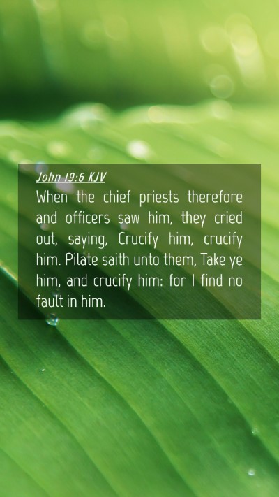 Picture 04 - John 19:6 KJV Mobile Phone Wallpaper - When the chief priests therefore and officers saw - Mobile Bible Verse Wallpaper