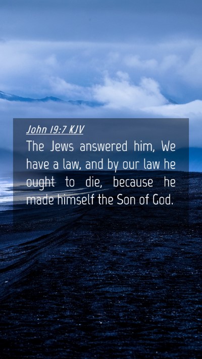 Picture 04 - John 19:7 KJV Mobile Phone Wallpaper - The Jews answered him, We have a law, and by our - Mobile Bible Verse Wallpaper