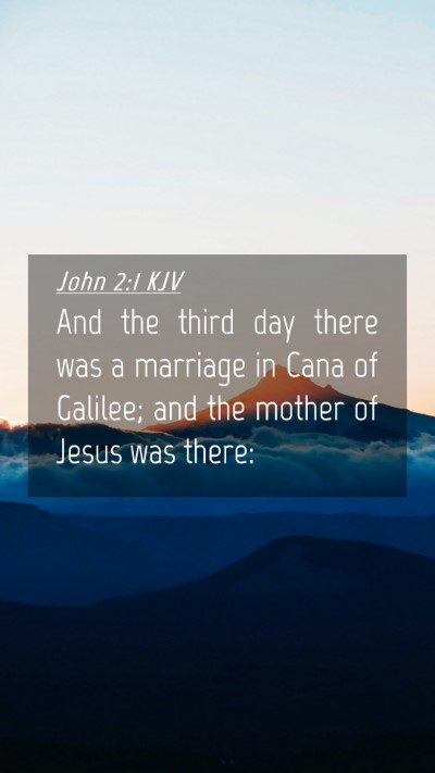 Picture 04 - John 2:1 KJV Mobile Phone Wallpaper - And the third day there was a marriage in Cana of - Mobile Bible Verse Wallpaper